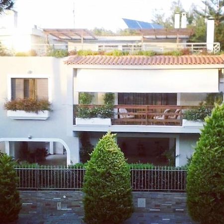 Fantastic Villa, A 5 Minute Drive From The Beach! Athens Ngoại thất bức ảnh