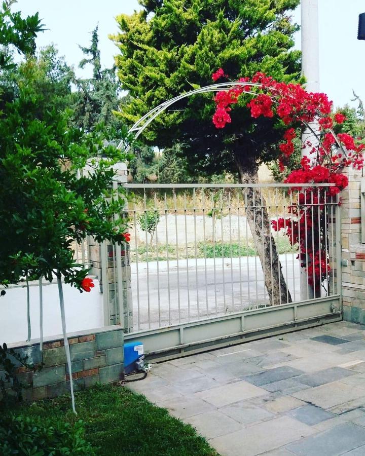Fantastic Villa, A 5 Minute Drive From The Beach! Athens Ngoại thất bức ảnh