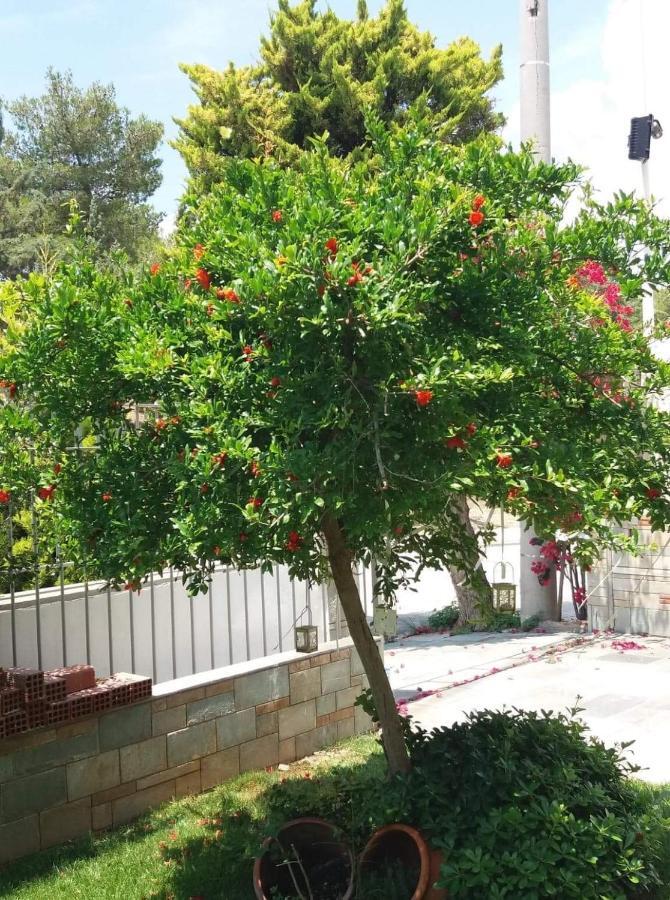 Fantastic Villa, A 5 Minute Drive From The Beach! Athens Ngoại thất bức ảnh