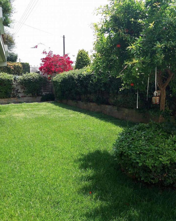 Fantastic Villa, A 5 Minute Drive From The Beach! Athens Ngoại thất bức ảnh